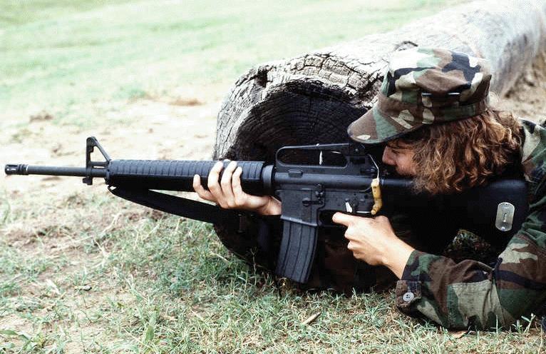 m_16_dvic533.jpg